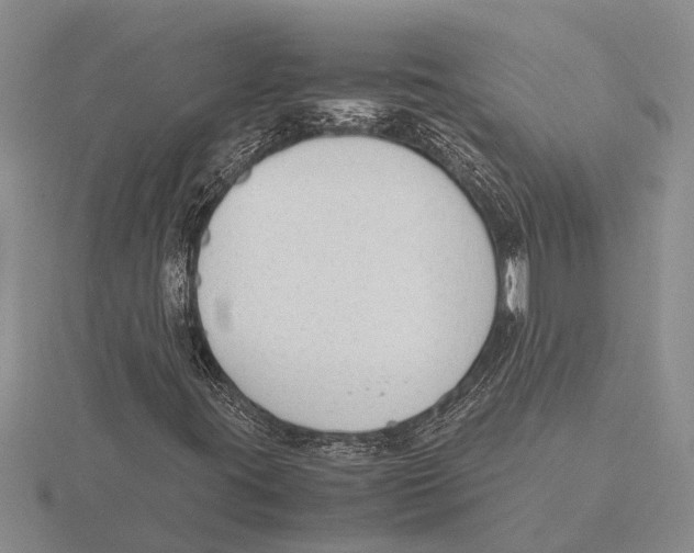 X0000115761395200912111036