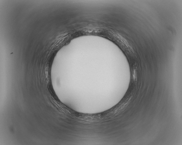 X0000115761396200912111036