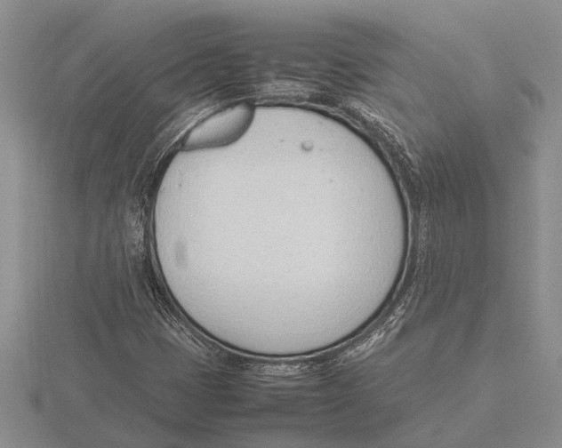 X0000115761401200912111036