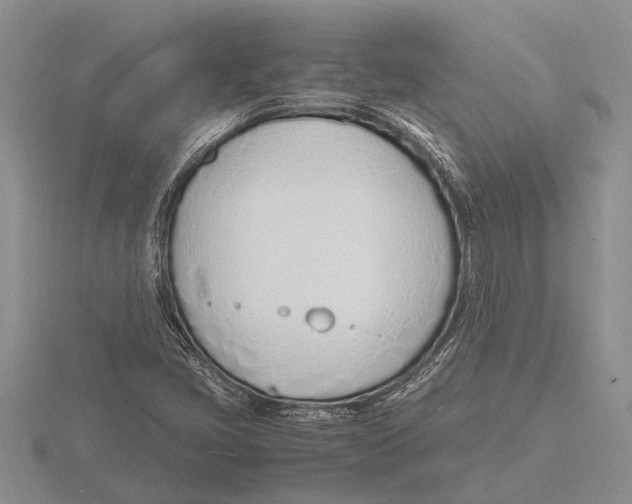 X0000115761405200912111036