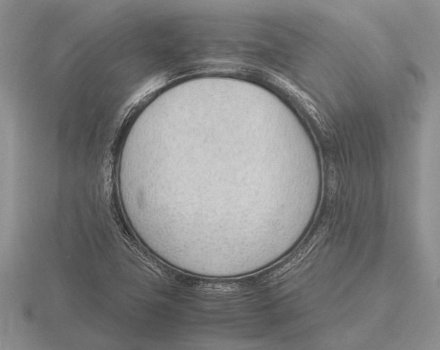 X0000115761411200912111036