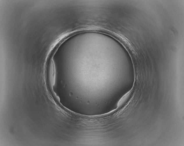 X0000115761414200912111036