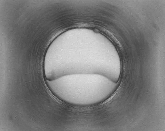 X0000115761417200912111036