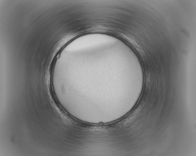 X0000115761418200912111036