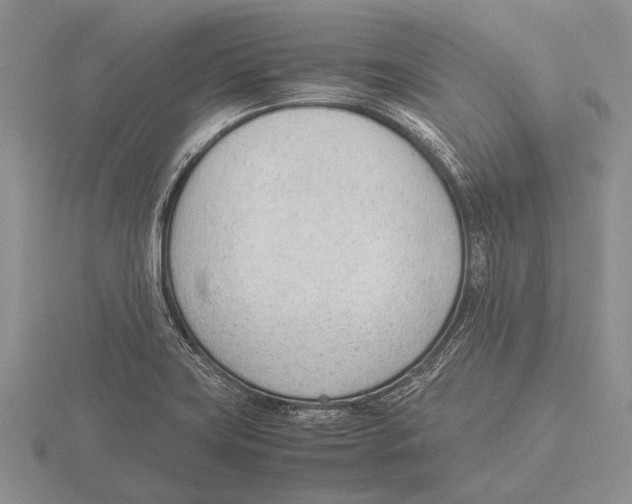 X0000115761419200912111036