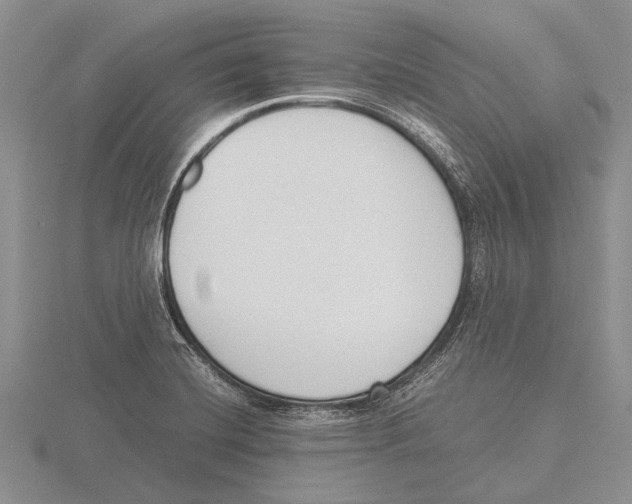 X0000115761420200912111036