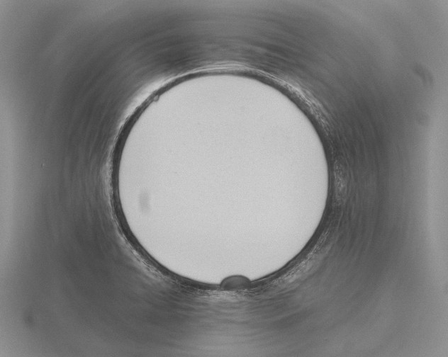 X0000115761422200912111036