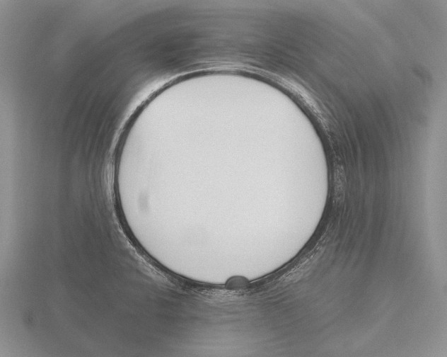 X0000115761424200912111036