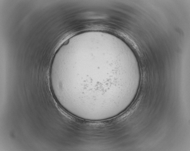 X0000115761425200912111036