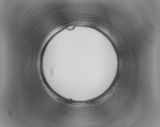 X0000115761426200912111036