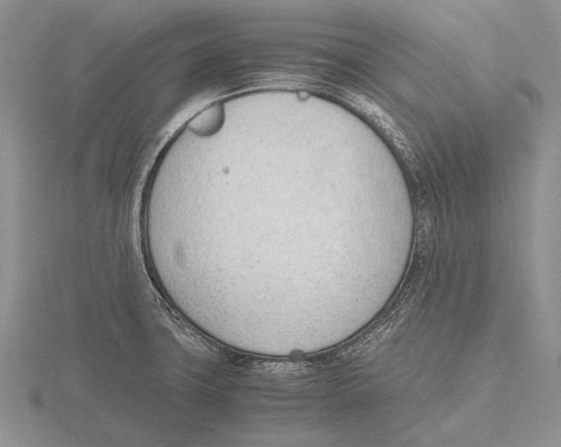 X0000115761427200912111036