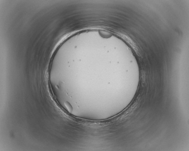 X0000115761428200912111036