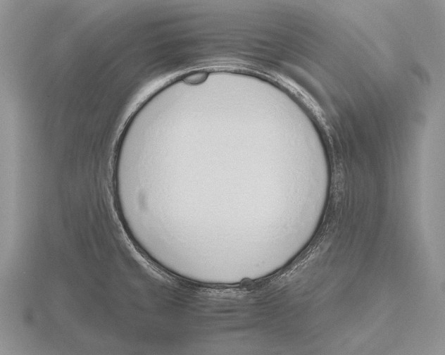 X0000115761429200912111036