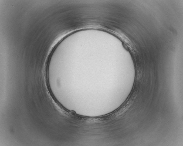 X0000115761430200912111036