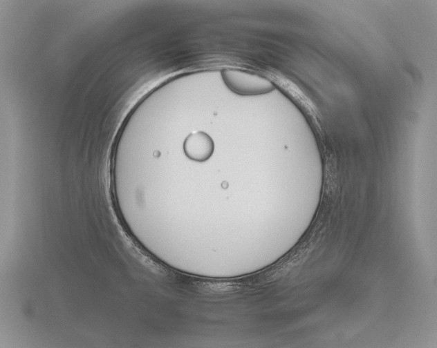 X0000115761431200912111036