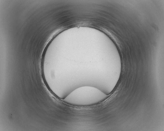 X0000115761434200912111036