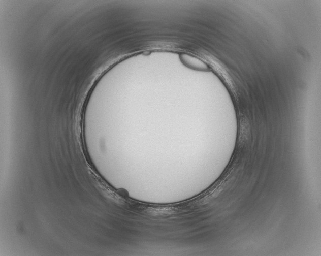 X0000115761435200912111036