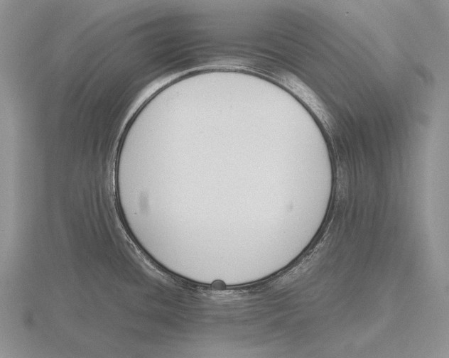 X0000115761436200912111036