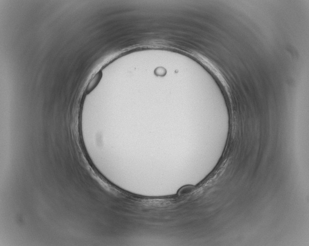 X0000115761437200912111036