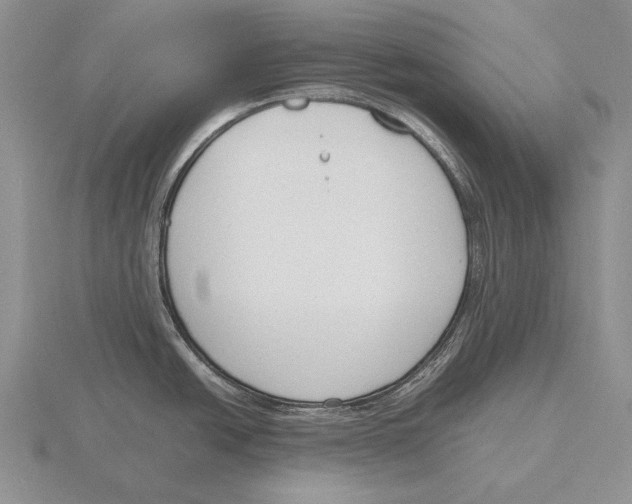 X0000115761438200912111036