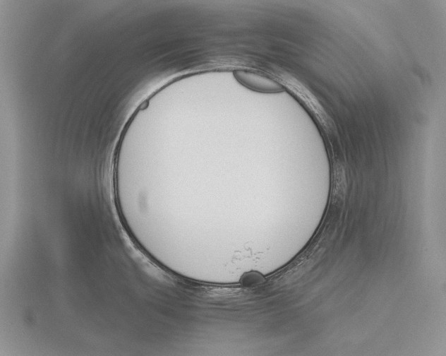 X0000115761439200912111036