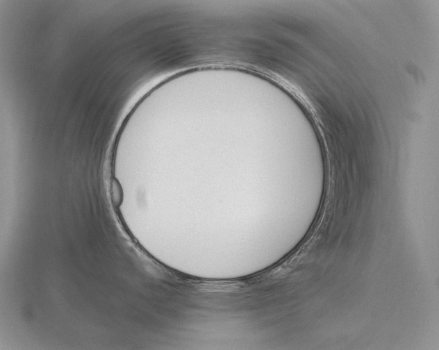 X0000115761440200912111037