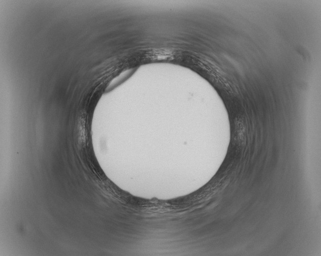 X0000115761442200912111036