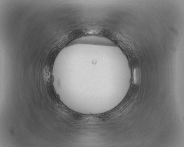 X0000115761443200912111036