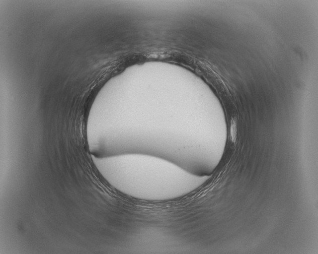 X0000115761444200912111036