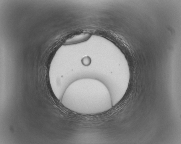 X0000115761445200912111036