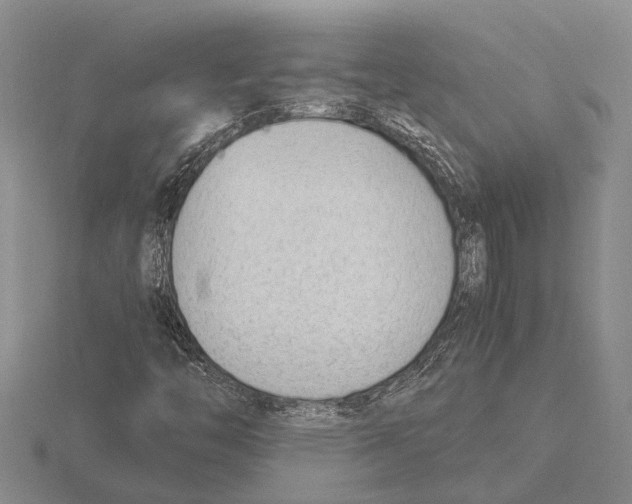 X0000115761446200912111036