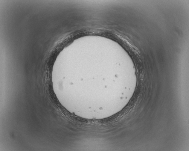 X0000115761447200912111036