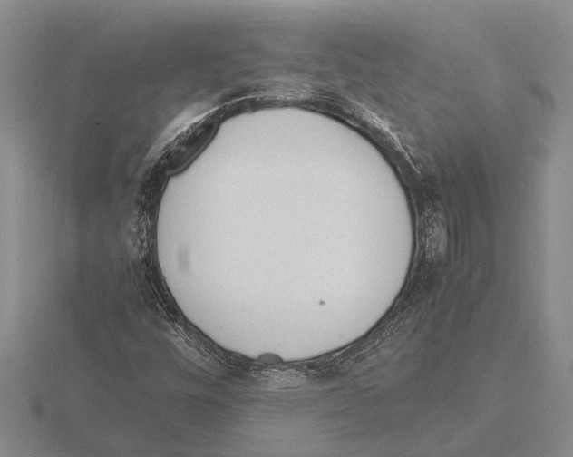 X0000115761448200912111036