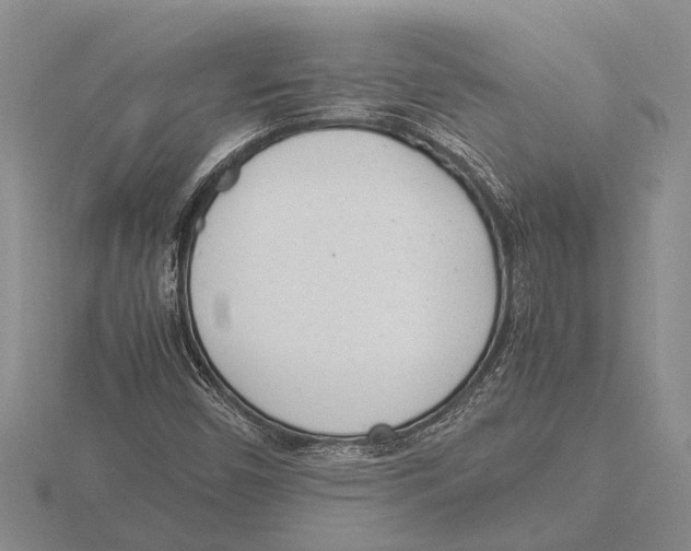 X0000115761450200912111036