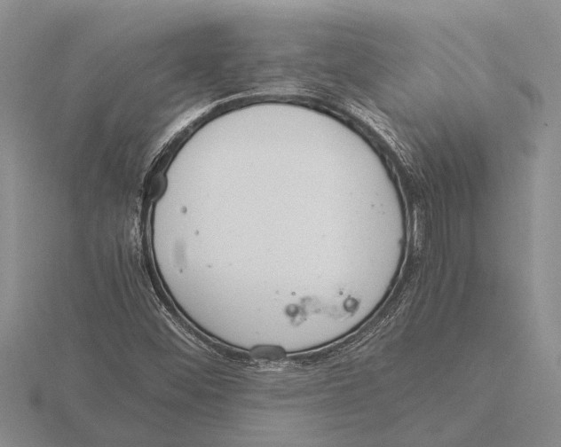 X0000115761452200912111036