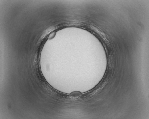 X0000115761453200912111036