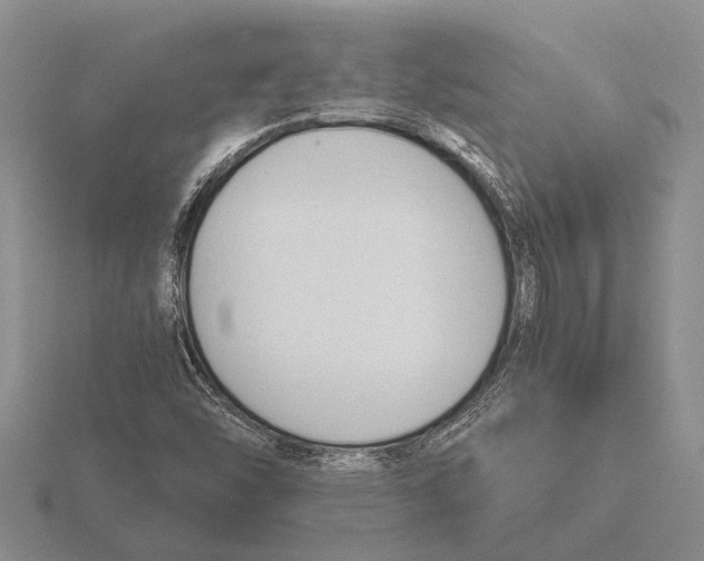 X0000115761454200912111036