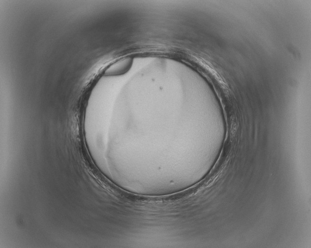 X0000115761455200912111036