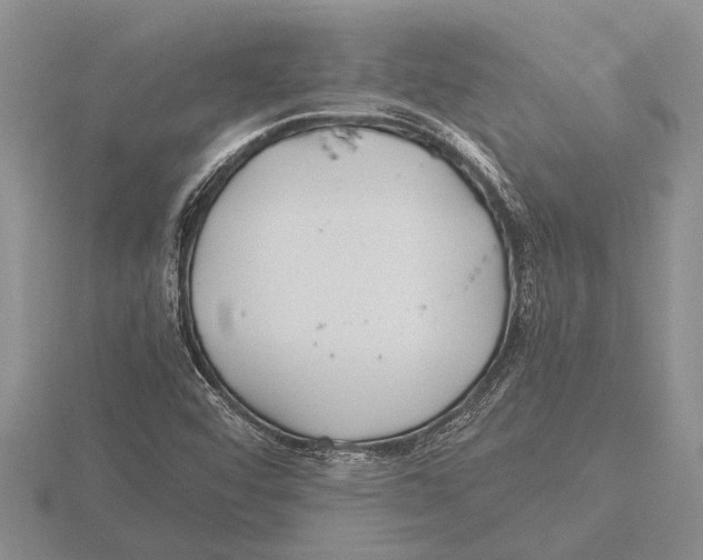 X0000115761456200912111036