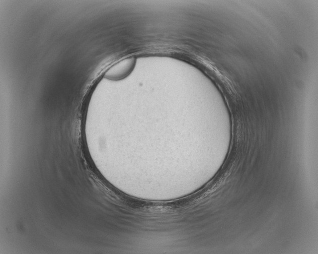 X0000115761459200912111036