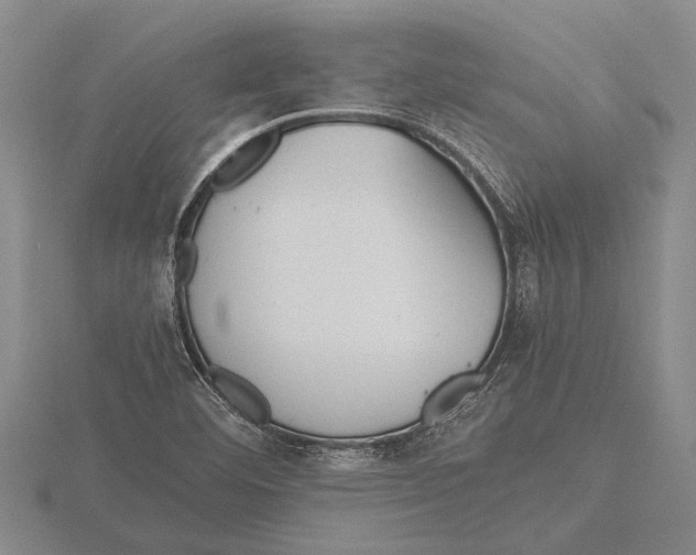 X0000115761460200912111036