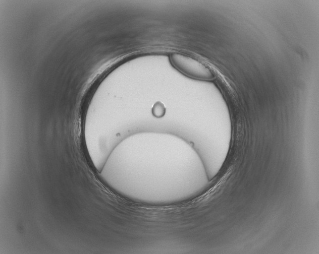 X0000115761461200912111036