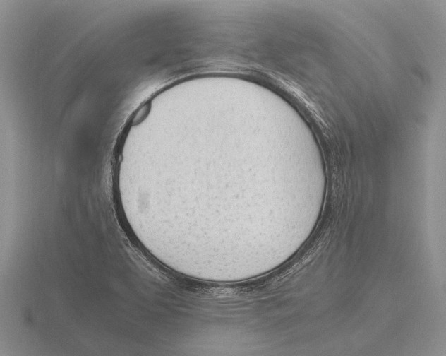 X0000115761463200912111036