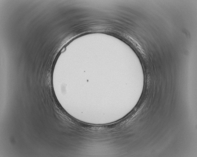 X0000115761465200912111036