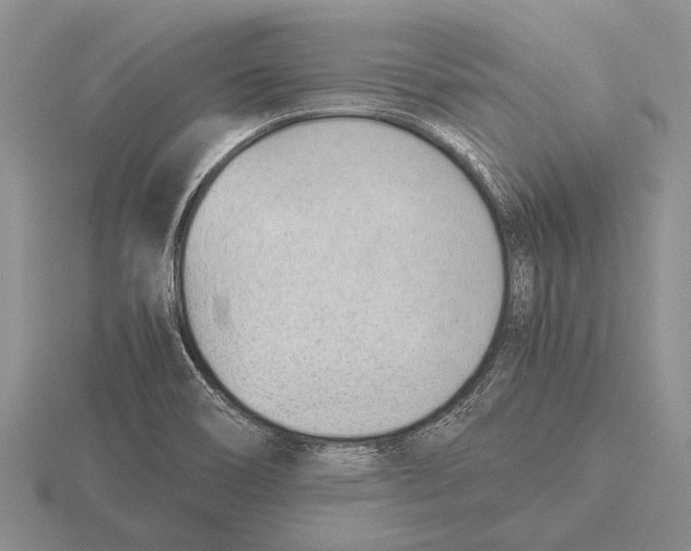 X0000115761466200912111036