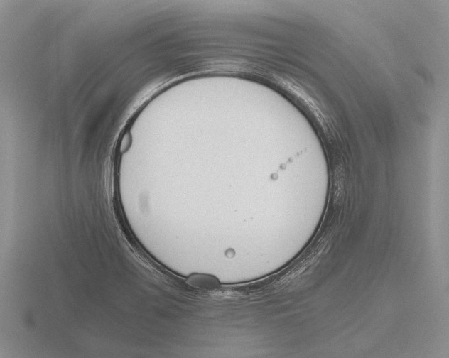 X0000115761467200912111036