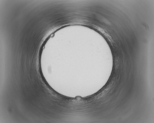 X0000115761469200912111036