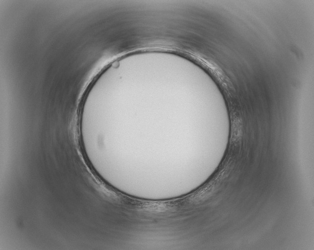 X0000115761470200912111036