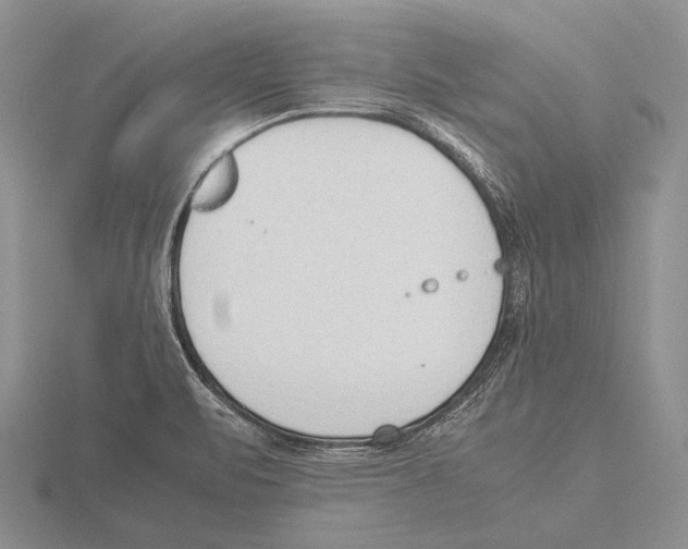 X0000115761471200912111036