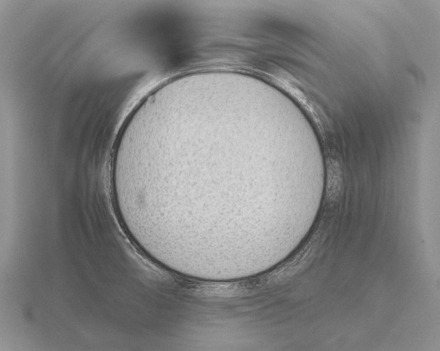 X0000115761474200912111035